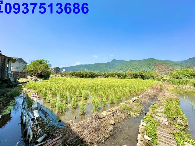 宜蘭頭城農地-12