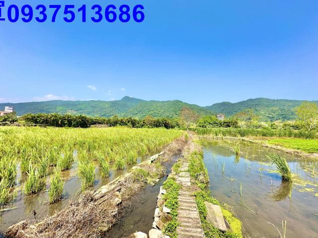 宜蘭頭城農地-14