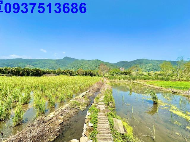 宜蘭頭城農地-15