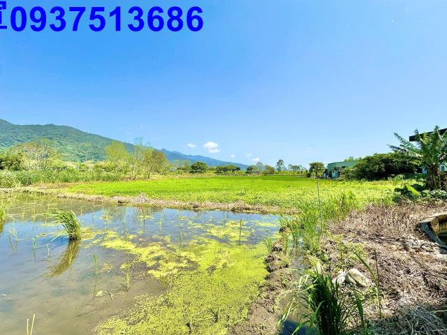宜蘭頭城農地-4