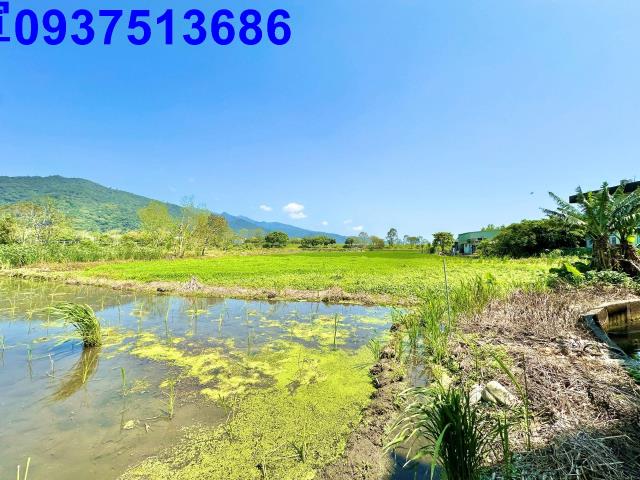 宜蘭頭城農地-5