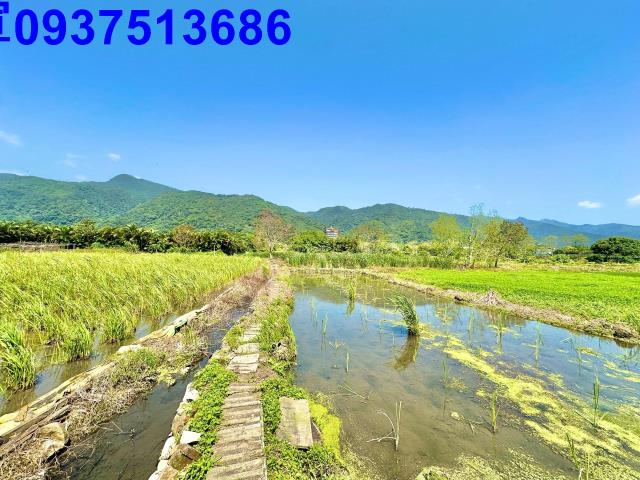 宜蘭頭城農地-6
