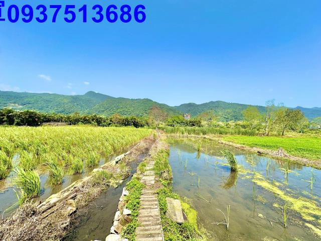 宜蘭頭城農地-7