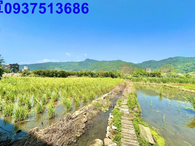 宜蘭頭城農地-9