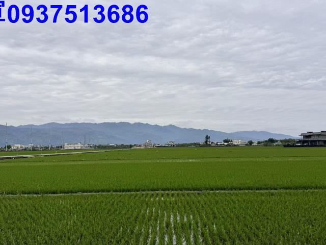 宜蘭壯圍農地-7