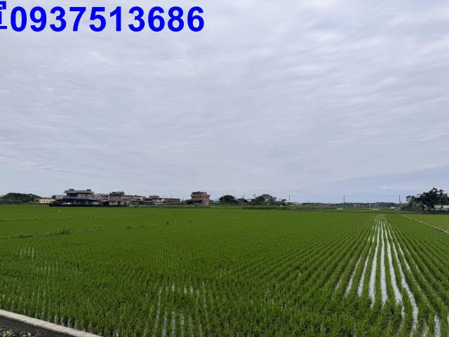 宜蘭壯圍農地-8