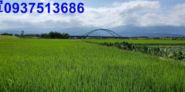 宜蘭宜蘭市農地-11