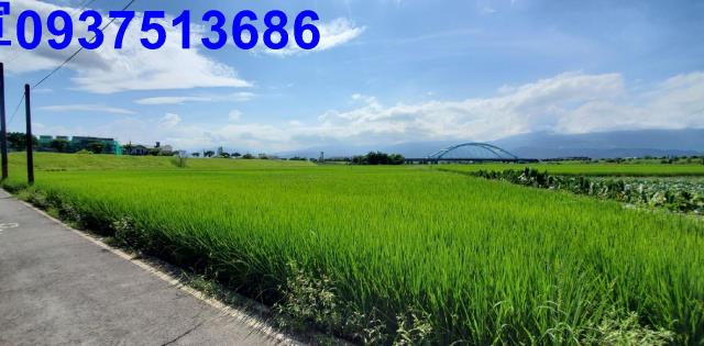 宜蘭宜蘭市農地-12
