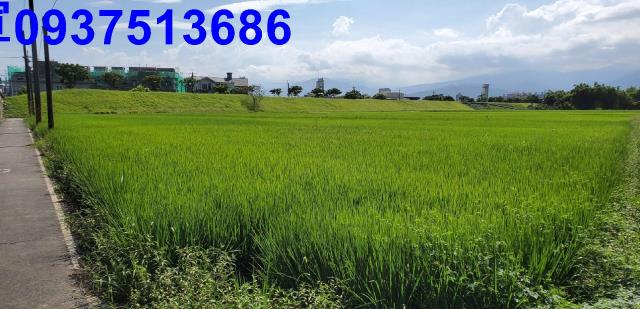 宜蘭宜蘭市農地-13