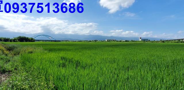 宜蘭宜蘭市農地-14