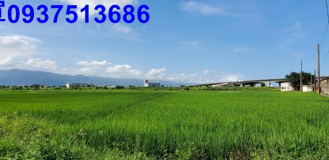 宜蘭宜蘭市農地-15