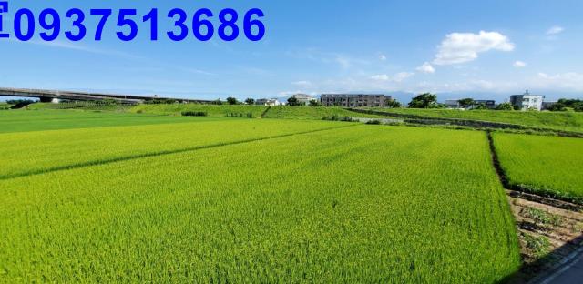 宜蘭宜蘭市農地-1