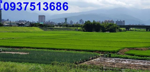 宜蘭宜蘭市農地-5