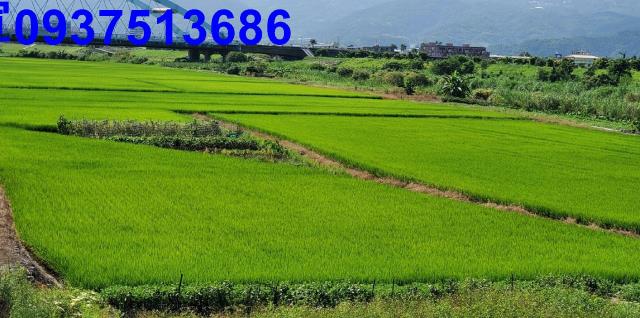 宜蘭宜蘭市農地-6