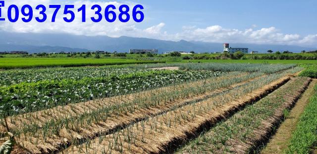 宜蘭宜蘭市農地-9