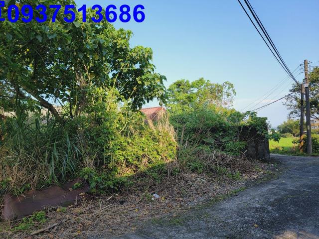 宜蘭冬山建地-8
