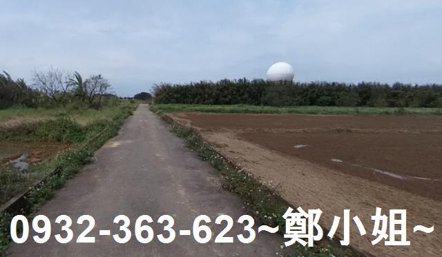 大園農地-2