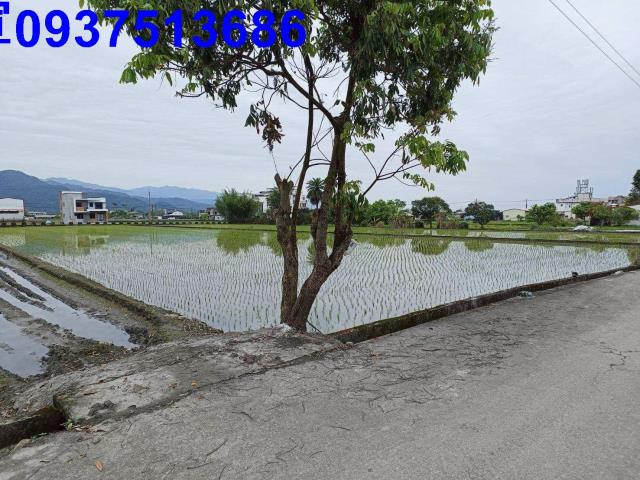 宜蘭三星農地-3