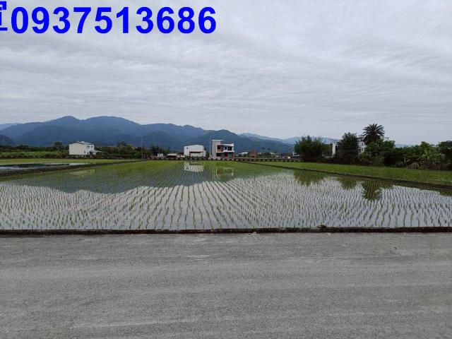 宜蘭三星農地-4