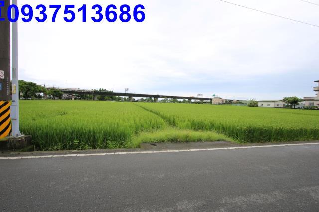 宜蘭壯圍農地-12