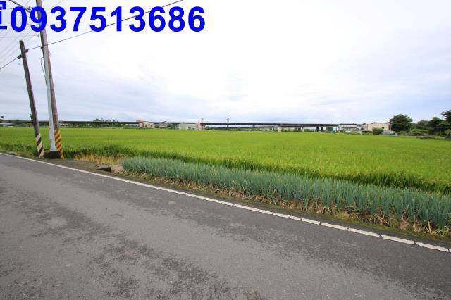 宜蘭壯圍農地-9