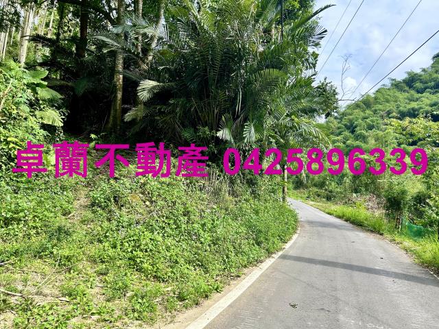 苗栗農地-2