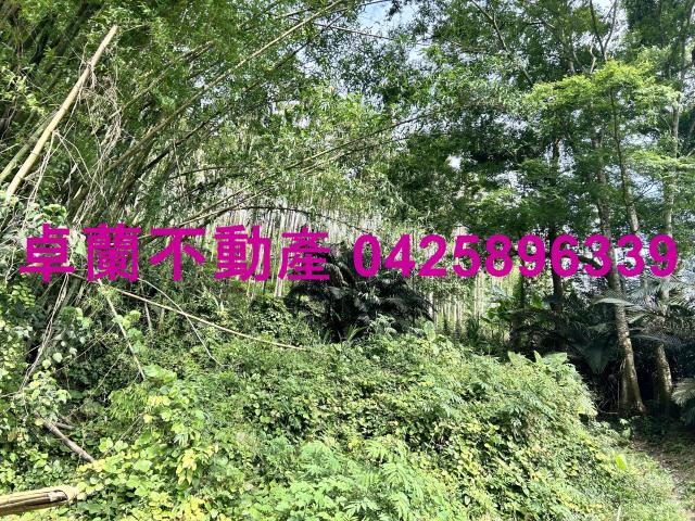 苗栗農地-4