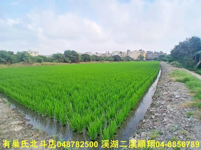 彰化和美農地-1