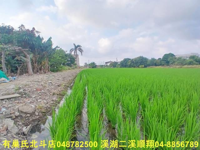 彰化和美農地-2