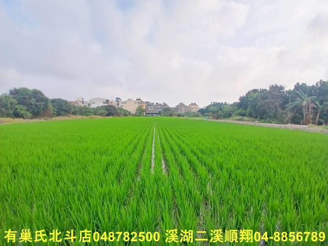 彰化和美農地-3