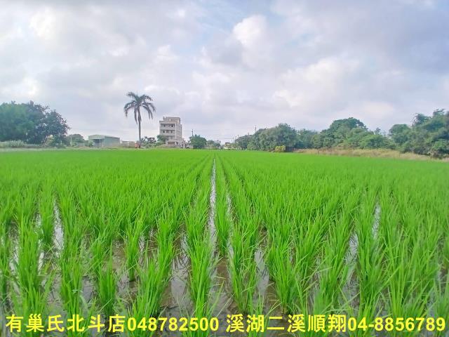 彰化和美農地-4