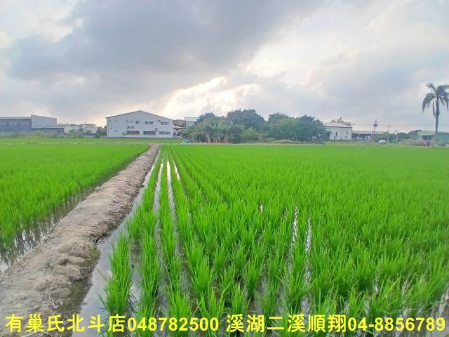 彰化和美農地-6