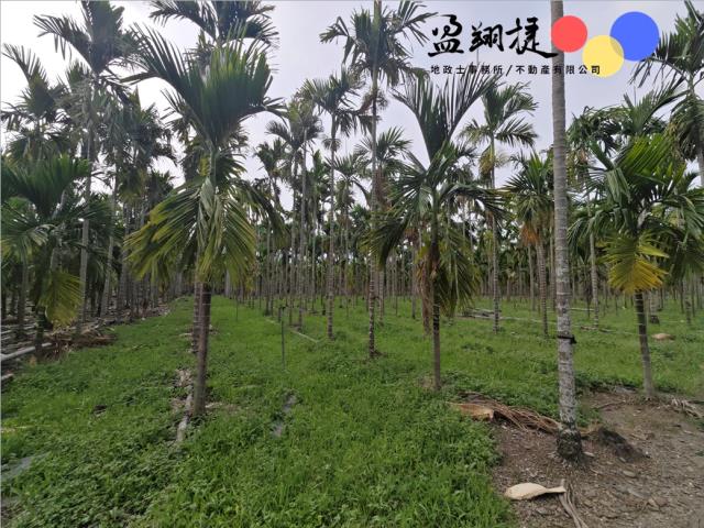 屏東農地-2