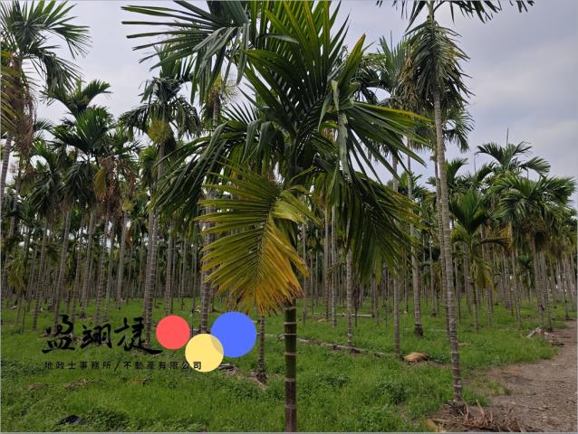 屏東農地-3