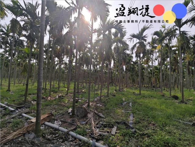 屏東農地-4