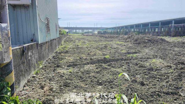 阿蓮農地-6