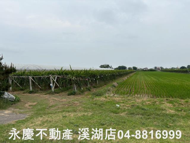 二林農地-1
