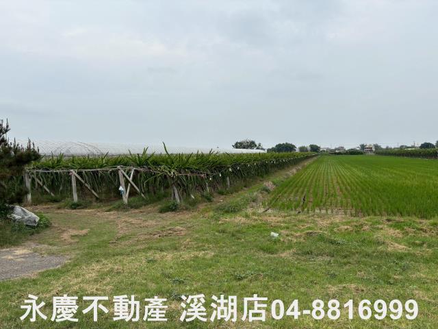 二林農地-5