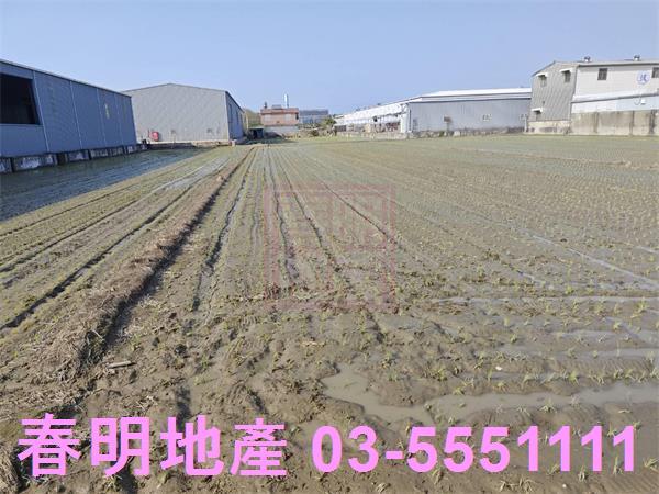 竹北農地-5