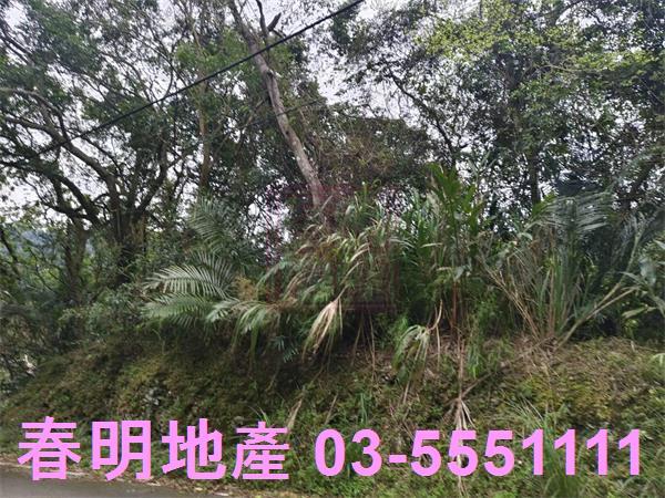峨眉農地-6