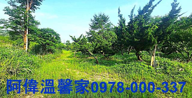新竹農地-4