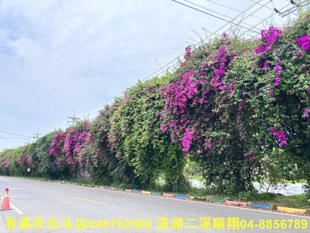 彰化建地-2