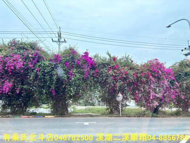 彰化建地-3