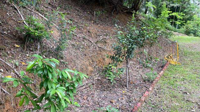 新竹北埔山坡地-10