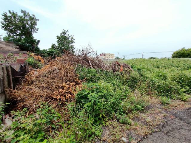 彰化埔鹽建地-13