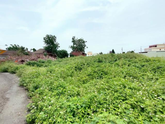 彰化埔鹽建地-2