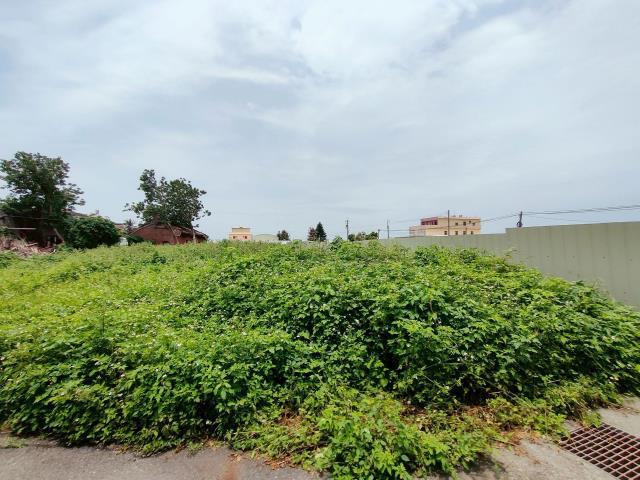 彰化埔鹽建地-9