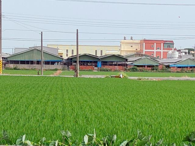 埔鹽農地-3