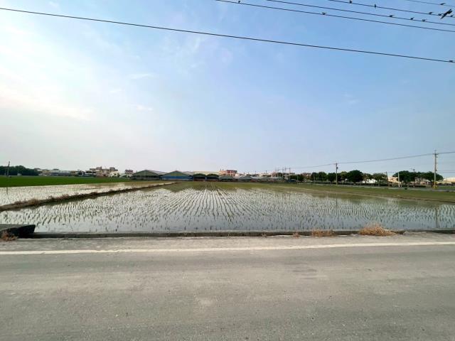 埔鹽農地-4