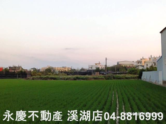 溪湖農地-4